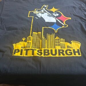 Pittsburgh Steelers Pirates Penguins 3 favorite team t shirt